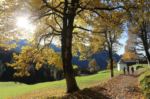Der Herbst hinterlässt in Baden-Württemberg seine Spuren. Foto: dpa/Karl-Josef Hildenbrand