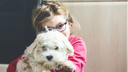 Spielgefährte, Freund und Helfer – Hunde haben positiven Einfluss auf Kinder. Foto: IMAGO/Pond5 Images//xromrodinkax