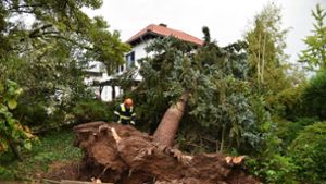 In Eppelheim ist ein Baum durch den Sturm auf ein Haus gestürzt. Foto: dpa