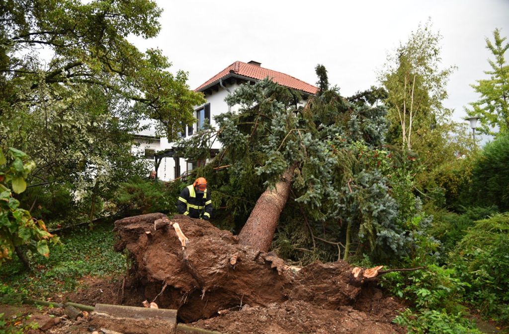 In Eppelheim ist ein Baum durch den Sturm auf ein Haus gestürzt.
