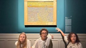 Umweltaktivisten werfen Erbsensuppe gegen Van-Gogh-Bild