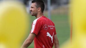 Vage Zukunft: VfB-Stürmer Vedad Ibisevic Foto: Baumann