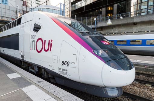 Trotz der Streiks fährt am Mittwoch ein TGV von Stuttgart nach Paris. Foto: dpa/Philippe Fraysseix