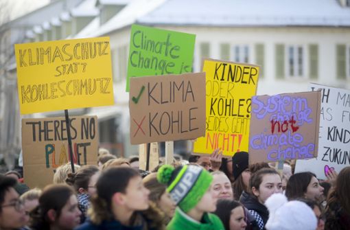 Schon  im Januar gingen die Schüler in Ludwigsburg auf die Straße. Diesmal sollen  auch Erwachsene an dem Protestmarsch teilnehmen. Foto: factum//Simon Granville