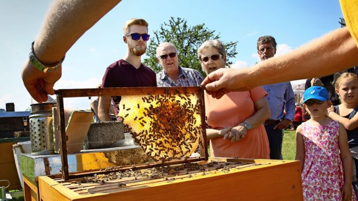 Ein Blick hinter die Kulissen der Honigproduktion