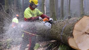 Waldbesitzer fordern ein Waldhonorar