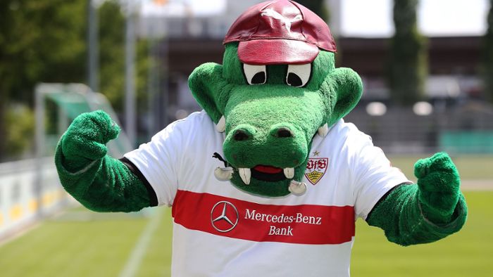 VfB Stuttgart steigt bei Spendenaktion ein