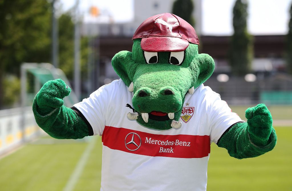 Gute Aktion: Der VfB beteiligt sich an einer Spendenaktion der Fans und nicht nur das Vereins-Maskottchen Fritzle freut sich darüber. Foto: Pressefoto Baumann