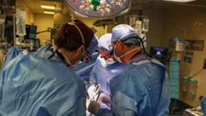 Im Massachusetts General Hospital haben Ärzte einem Patienten eine Schweineniere transplantiert. Foto: Michelle Rose/Massachusetts General Hospital/dpa