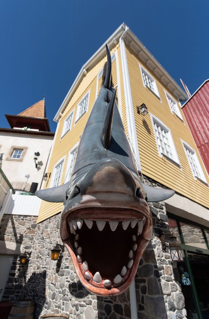 Ein Hai im Themenbereich Skandinavien