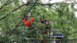 Einsatz für die Ditzinger Feuerwehr: Die Brandschützer kappen den Baum aus dem Korb der Drehleiter. Foto: Freiwillige Feuerwehr Ditzingen