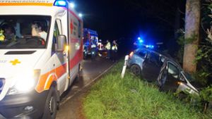 Autofahrer stirbt bei Unfall nahe Tiefenbronn
