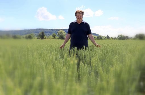 Der Gemüsebauer Christian Merz baut mittlerweile auf drei Hektar Ackerfläche zwischen Rommelshausen und Fellbach Getreide an. Foto: Eva Herschmann