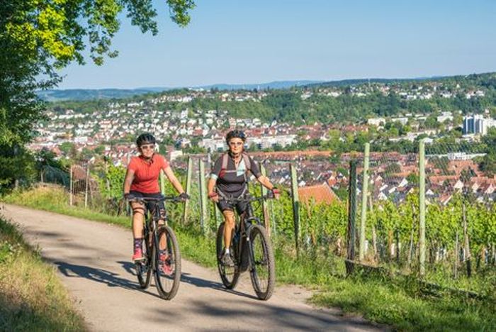 Die Weinberge rund um Stuttgart oder auch die ausgedehnten Wälder in der Landeshauptstadt eignen sich wunderbar zum Radfahren. Dennoch herrscht große Unzufriedenheit bei den Radfahrenden aus Stuttgart und Region, wie unsere Umfrage in der Bildergalerie zeigt.