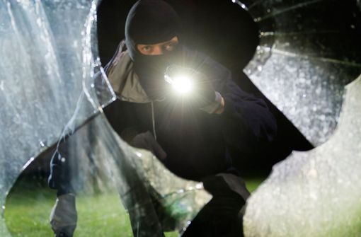 Einbrecher waren in der Nacht auf Sonntag in Herrenberg zu Gange. Foto: dpa/Daniel Maurer
