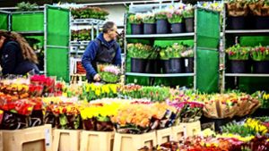 Am Blumengroßmarkt verkaufen dutzende Gärtner ihre Blumen und Pflanzen. Foto: Lichtgut/Julian Rettig