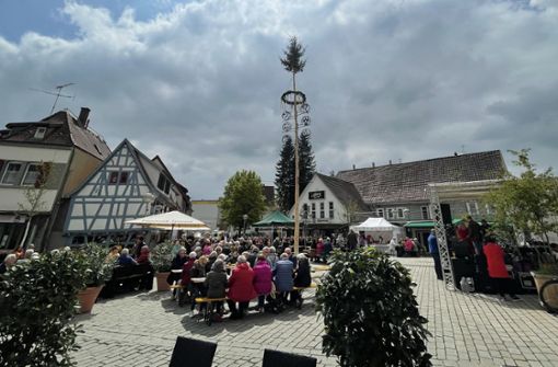 Maibaum in  Sindelfingen: Auf dem Wettbachplatz ist am 1. Mai traditionell viel los, weil auch Jahrgangstreffen stattfinden. Foto: City-Marketing