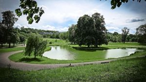 Der Schlossgartensee soll sauberer werden Foto: Lichtgut/Achim Zweygarth