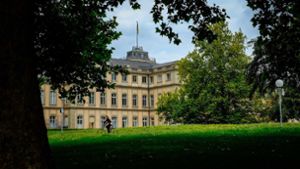 Der Akademiegarten vor dem Neuen Schloss gilt Stadtklimatologen als Teil der Hauptbelüftungsachse für die Stuttgarter City. Foto: Lichtgut/Max Kovalenko