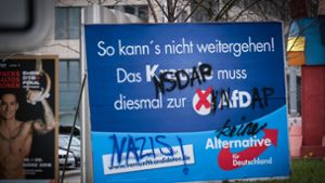 Die AfD bekommt im Wahlkampf heftigen Gegenwind (Symbolbild). Foto: Lichtgut/Achim Zweygarth