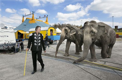 Der Zirkusdirektor Roman Zinnecker und zwei der drei Zirkuselefanten Foto: Horst Rudel
