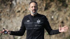 Der neue Trainer Pellegrino Matarazzo will Abwechslung im VfB-Training. Foto: Pressefoto Baumann/Hansjürgen Britsch