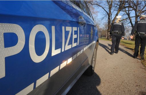 Der Täter hat wahllos Menschen in Kirchheim angegriffen. Foto: dpa