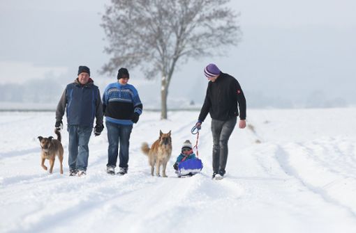 Der Schnee lockte viele Besucher auf die Schwäbische Alb. (Archivbild) Foto: dpa/Thomas Warnack