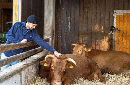 Florian Aufrecht, Leiter des Schulbauernhofs der Korntaler Brüdergemeinde, sieht beim Vieh  nach dem Rechten. Foto: /Jürgen Bach
