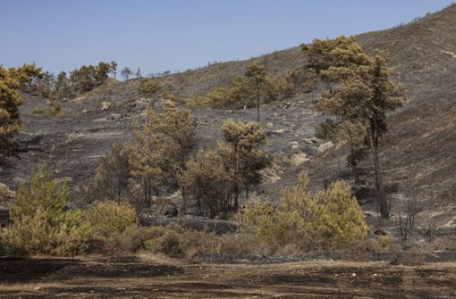 Hitze und Waldbrände gab es im Juli vielerorts – wie hier auf Rhodos. Foto: Imago/NurPhoto/STR