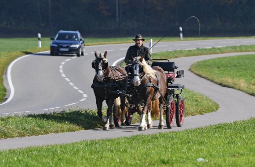 Fahrten mit Pferdekutschen seien ein unkalkulierbares Risiko, sagt Peta. Foto: dpa