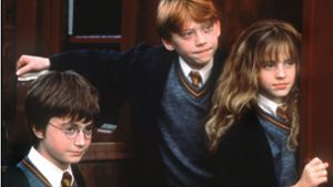 Schule verbannt „Harry-Potter“-Bücher aus Bibliothek