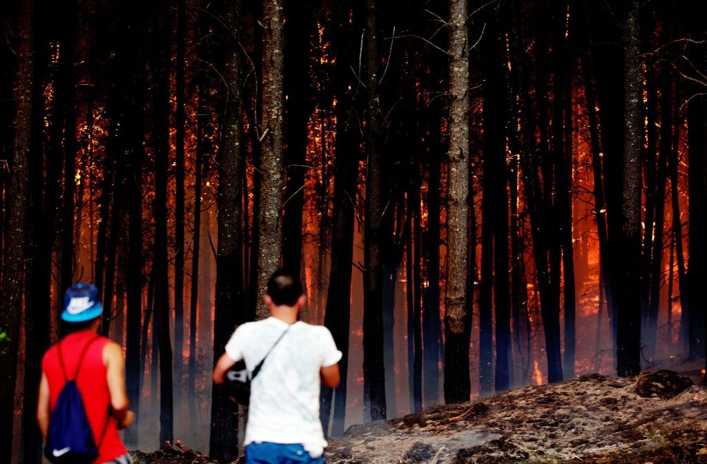 Die Waldbrände in Chile breiten sich immer weiter aus.