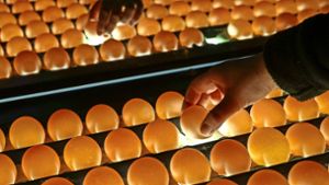 Hilft mehr Transparenz den Bauern aus der Patsche? Hier werden Eier zur Kontrolle durchleuchtet. Foto: factum/Granville