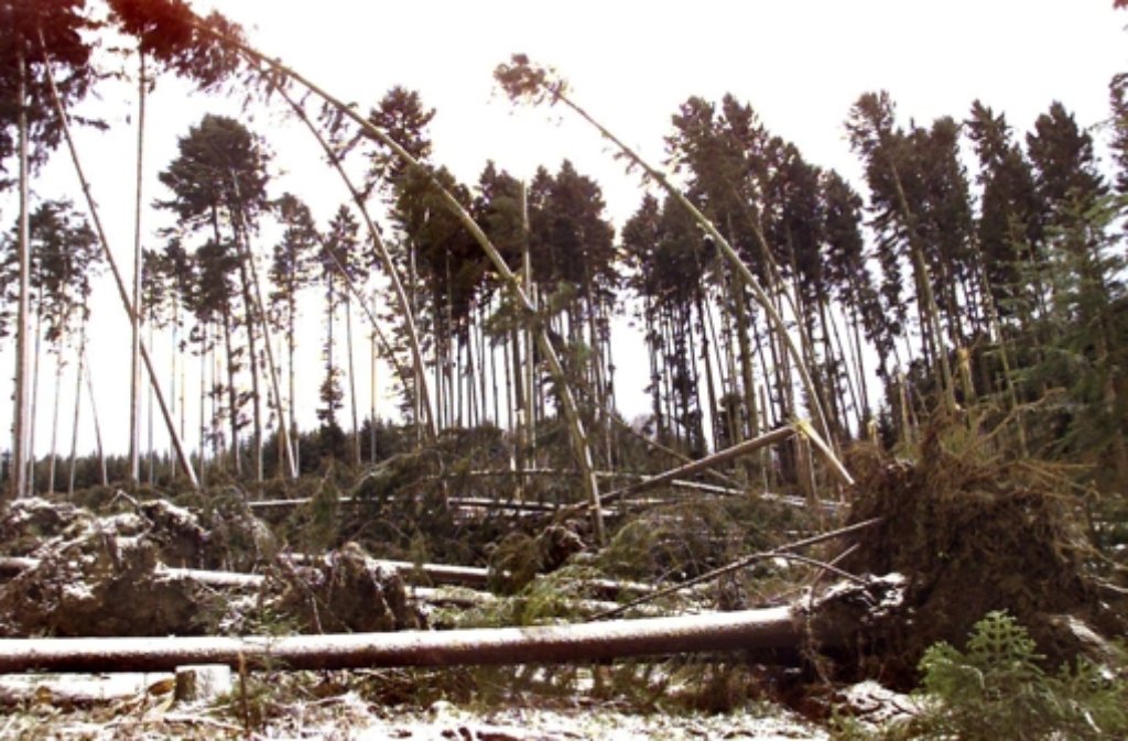 Zahlreiche entwurzelte Bäume liegen am 27. Dezember 1999 in einem Waldstück bei Villingen-Schwenningen (Schwarzwald-Baar-Kreis). Am zweiten Weihnachtsfeiertag fegte das Orkantief Lothar über Mitteleuropa hinweg und richtete schwere Verwüstungen an.
