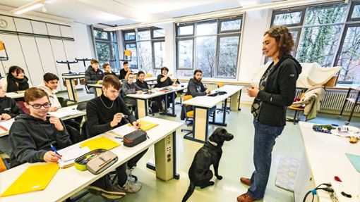 Die Schüler am Göppinger Freihof-Gymnasium haben sich längst an die Schulhunde gewöhnt. Foto: Staufenpress