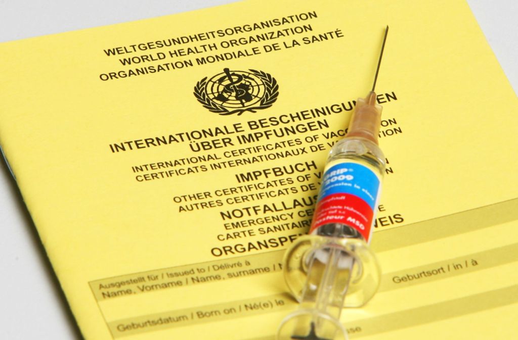 Auch weiterhin werden Impfungen gegen die Influenza empfohlen. Foto: dpa-Zentralbild