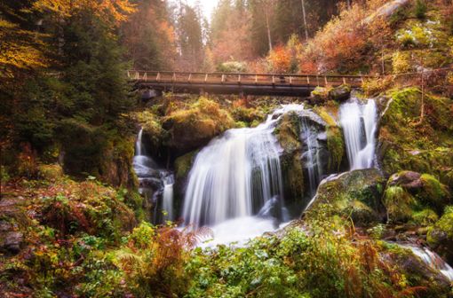 Die Triberger Wasserfälle im schönen Schwarzwald locken zu jeder Jahreszeit Besuchende an.