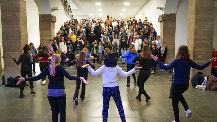 Goethe-Gymnasium in Ludwigsburg erhält Auszeichnung: Mehrsprachigkeit ermöglicht einen besseren Austausch