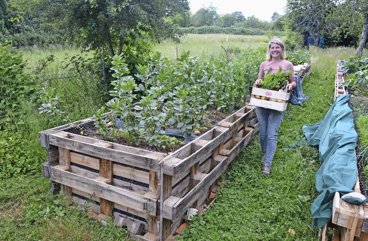 Sandra Herrmann hat ein Händchen für den Gemüseanbau: In ihren Hochbeeten in Altbach sprießt es. Foto: /Philipp Braitinger
