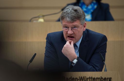 Die AfD sucht einen Nachfolger für Jörg Meuthen. Foto: dpa