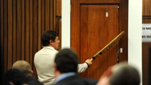 Der Forensiker Johannes Vermeulen beim Prozess gegen Oscar Pistorius. Foto: dpa