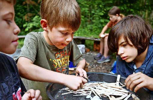 Im Wieslaufcamp können Kinder die Natur entdecken. Foto: Gottfried Stoppel