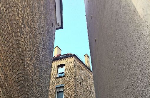 Weil sie keine Fenster haben, sind diese Flächen für Isabel Zintl perfekt. Foto: Sascha Maier