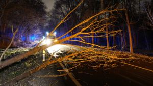 Auch in Stuttgart fielen Bäume auf die Straße. Foto: dpa/Sven Kohls