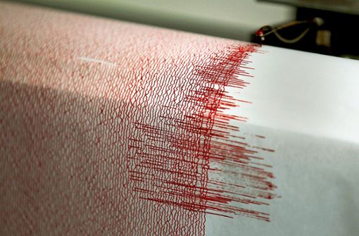 Ein Erdbeben war  am Sonntagmorgen bei Hechingen zu spüren. (Symbolfoto) Foto: dpa/Oliver Berg