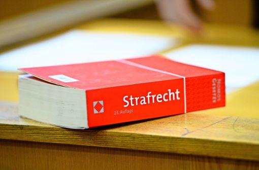 Das Stuttgarter Landgericht musste sich mit dem brutalen Übergriff eines Vaters beschäftigen. Foto: dpa